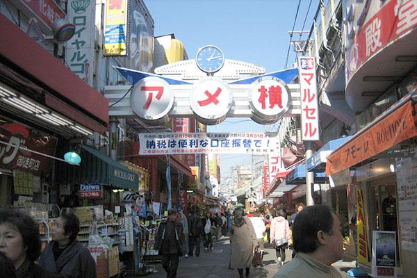 Seeking advice for a 10–12 day Japan trip with a teen